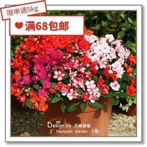 白莲花常说的话 绿茶婊经典句子36句