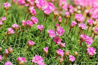 有关爱情伤感的唯美句子