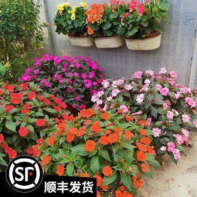 八月再见九月您好的说说