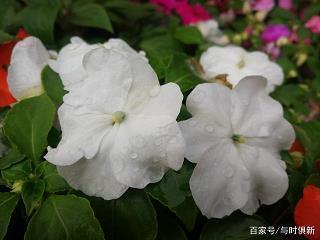 净水机广告词：水净界人境界