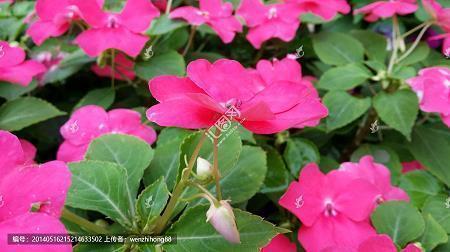 表示心情一落千丈的句子 心情跌落到谷底的句子