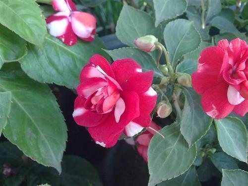 2021年精辟到噎死人的句子80句