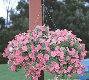 生活不如意的句子合集31句