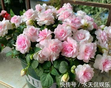 立秋祝福语简短一句话(精选92句)