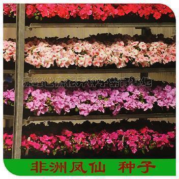 致不再年轻的我们朋友圈句子(精选56句)