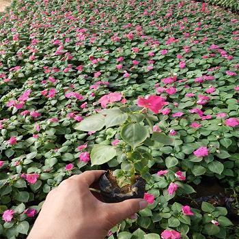 结婚纪念日对对方说的话