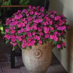 晚安朋友圈简短文案(精选79句)