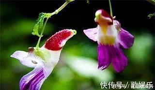 孝顺父母正能量的句子 尽孝道的句子47句
