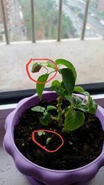 突然的不开心的句子 突然间心情不好的句子说说