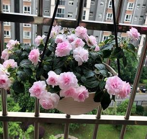 爱情好累好迷茫的句子 有的人永远只适合活在另一个人的心里