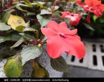 2021适合重阳节发朋友圈的说说汇编74句