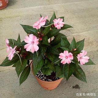立秋唯美的句子摘抄收集28句