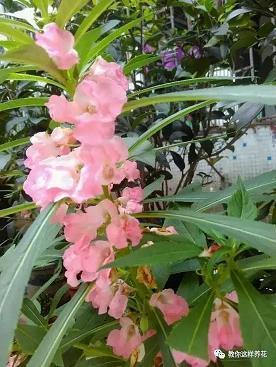 致自己暖心的句子41句