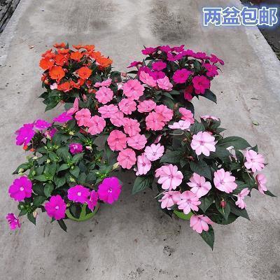 晚安发圈吸引人的句子摘抄27句