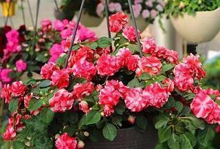 用关联词虽然但是造句大全 虽然但是写句子