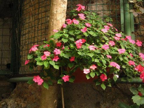 适合发朋友圈的励志语摘抄29句