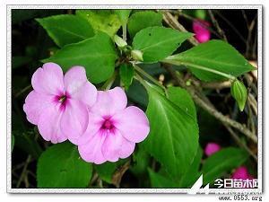 早安心语正能量语录2021年精选38句