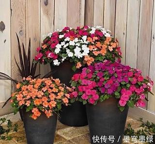 霜降微信朋友圈祝福文案(精选88句)