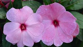 早安语录正能量朋友圈语录收集28句