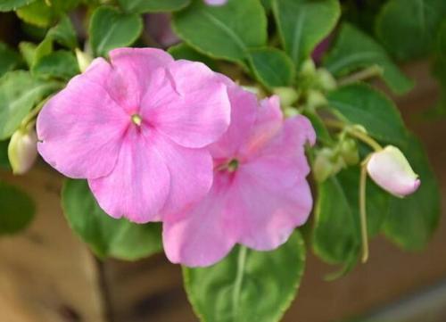 对于老公对于爱情很失望的句子