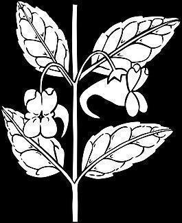 爱情悲伤的经典语句(精选50句)