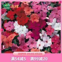 适合仙女说的晚安文案收录28句