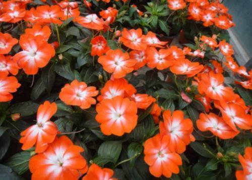 空间留言经典语录89句