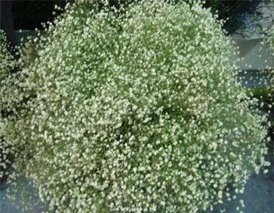 欢庆6.1儿童节的祝福语合集84句