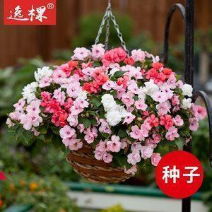 路是自己走的经典句子 路在脚下的励志句子49句