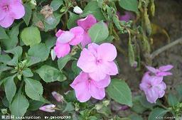 晚上好励志说说 晚上好的暖心句子合集78句