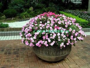 男朋友生气了怎么哄他开心的句子