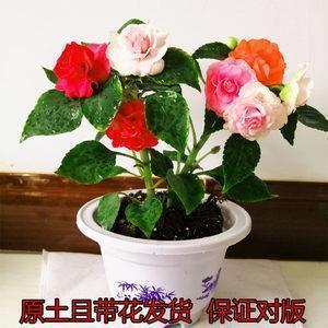 关于周四的优美句子(精选20句)