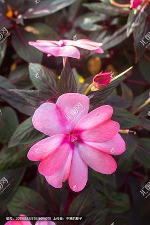 节约能源节约用电的宣传语(精选42句)