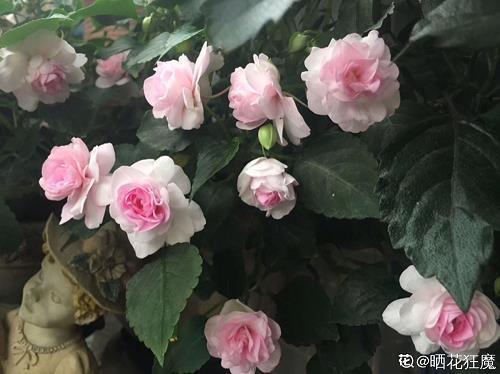 晚安心语正能量励志集合26句
