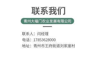 胃疼发朋友圈的句子 关于胃病的伤感说说(精选59句)