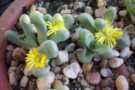 激励每天正能量的句子