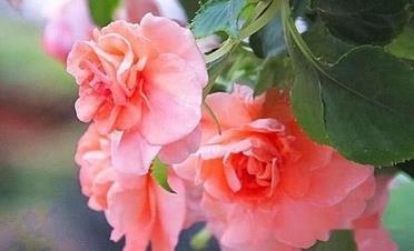 每天微信正能量的句子 每天一句正能量微信