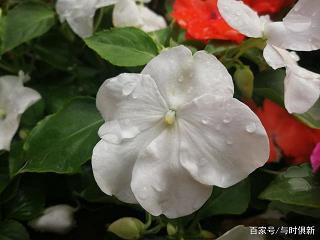 让老公看了心疼的句子