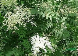 祝福教师节快乐的优美句子(精选76句)