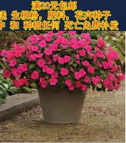 【精华】名言名句经典语录 名人经典语录大全推荐130句