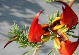 关于努力的唯美句子99句