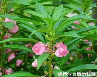说说心情朋友圈2021年