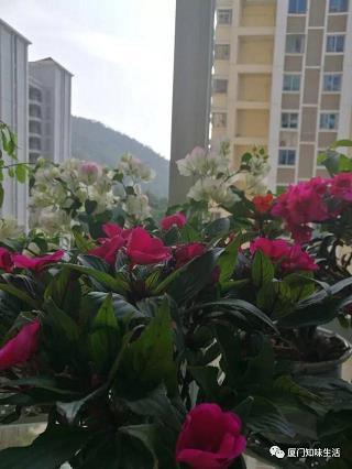最新幽默风趣撩人的句子 幽默风趣的句子精选79句