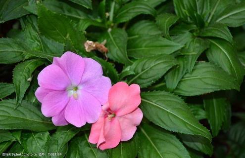 适合晒年夜饭发的朋友圈文案