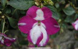 高冷句子短句霸气十足