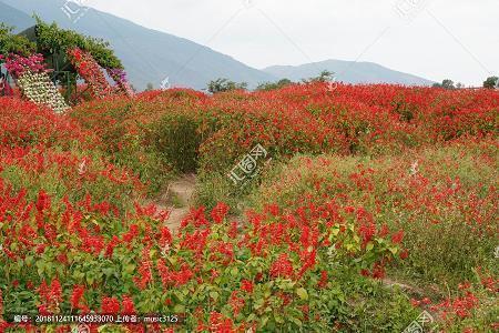 最好的晚安祝福语 晚上好问候语短句(精选83句)