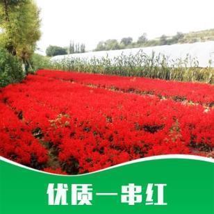 比喻人生的哲理的句子推荐78句