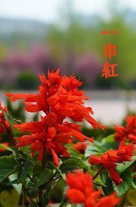 五四青年节宣传文案创意合集77句