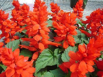 背叛后心碎的句子