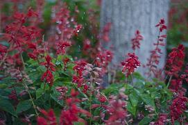 富有哲理的文案短语 优美哲理的文案句子